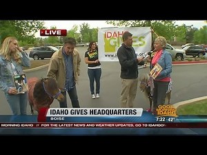 Idaho Gives: Mini Joys use mini horse for hope, healing