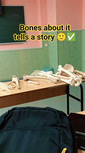 Anatomy where every structure tells a story#MBBS#Anatomy#Chemistry#MedicalEducation#shorts#vlog