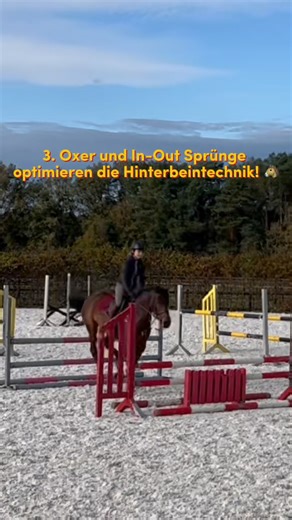 ✨ Warum ihr jetzt Stangen, Cavaletti & Springgymnastik in euer Training einbauen solltet! 🐴💪 👉 Stangenarbeit: Perfekt für Balance, Koordination und Taktgefühl – euer Pferd wird geschmeidiger und sicherer. 👉 Cavaletti: Muskelaufbau und Beweglichkeit leicht gemacht! Euer Pferd trainiert Rücken und Hinterhand, ohne überfordert zu werden. 👉 Springgymnastik: Vertrauen, Technik und Mut werden gestärkt – und das ganz spielerisch! 💡 Stellt euch vor: Euer Pferd galoppiert kraftvoll, springt sicher 