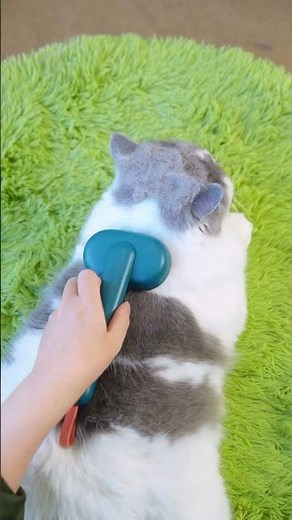 The Ultimate Pet Brush for High-Maintenance Long Hair Pets #aumucapetbrush #aumuca
