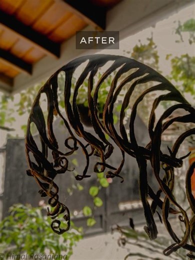 Lightroom Photo Editing Tips💫❤️💥