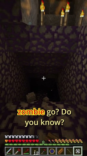 I Pokeballed a Zombie in Minecraft
