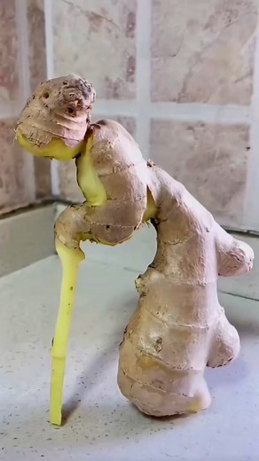 Ala ala 😂 #comedy | Ali Usta