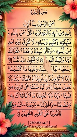 Aamanar-Rasool 🤍 | Last 2 Ayat of Surah Baqarah | Powerful Quran Recitation