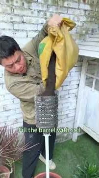 3 plant shaping diy hacks