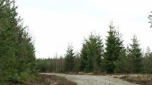 1.6M views · 10K reactions | ARCHER #GlaucioGomes #modernwarfare #tank ARCHER is Mobile. Firing in place too long gives away your position and leaves you vulnerable to counter-fire. Our ARCHER can “shoot and scoot” in 60 seconds. Cred.: BAE Systems, Inc. | Regimento de Blindados & Cia. | Facebook