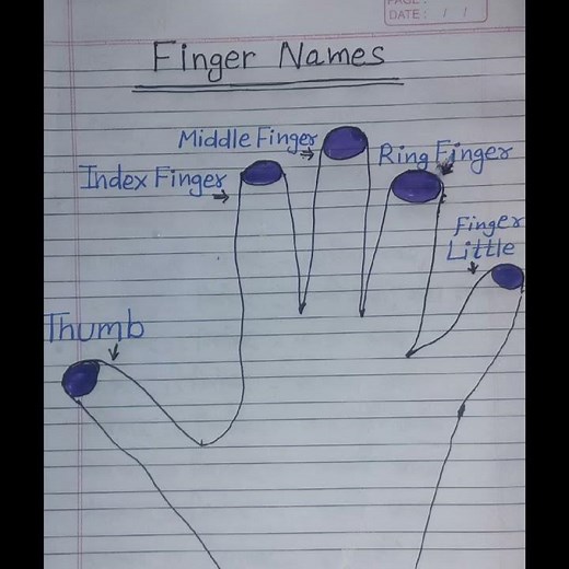 Finger Names || Different Types of Fingers in English || #finger #names