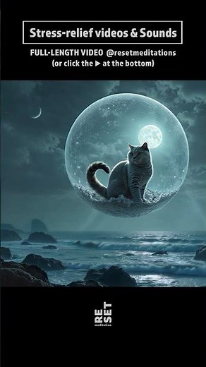 SEA ASMR 🎧 #SeaASMR #OceanWaves