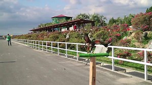 World Ranch on Reels | Facebook