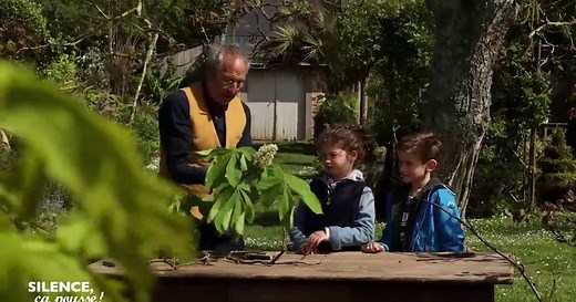 L'arbre et les bourgeons