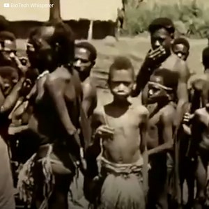 1M views · 6.4K reactions | The tribe in Oceania spread a new disease. All because of a controversial ritual. The victims start shaking and end up losing their lives. And the medical cause could not be discovered. Until a doctor discovered the horrible truth. | Vitamin | Facebook