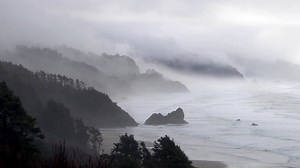 Music Library | Musiclibrary