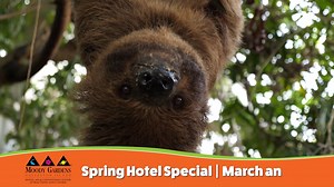 SPRING BREAK ROAD TRIP DAY TRIP: Save with an Attractions Value Pass HOTEL DEAL: Book direct and save 10% https://www.moodygardens.com/spring/ | Moody Gardens