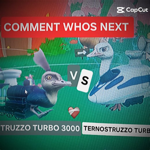 TERNOSTRUZZO TURBO 3000 VS TERNOSTRUZZO TURBO 4000 (PT26)