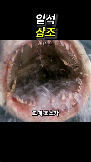 일석 삼조