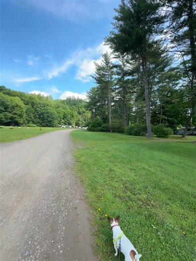 Ep 26 Short - 360 View of Catskill Mountains/Gilboa KOA. A very nice campground in NY!