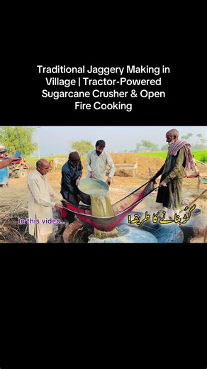 Traditional Jaggery Making Process Explained in Village