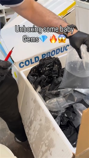 NYAquatic on Instagram: "Nothing beats a Baby Black Tang🖤 Pure perfection 🔥 What’s your favorite tang? 👀 #BlackTang #BabyBlackTang #ReefTank #SaltwaterAquarium #AquariumReels"