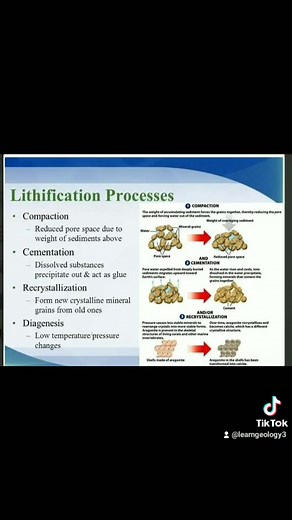 Lithification process LEARN Geology | LEARN Geology