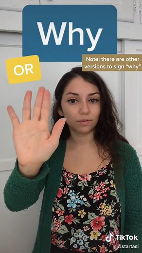 Wh-questions in ASL #americansignlanguage #aslcommunity #asl #learnasl #asllearner #learningasl #aslclass #signlanguage #aslstudent