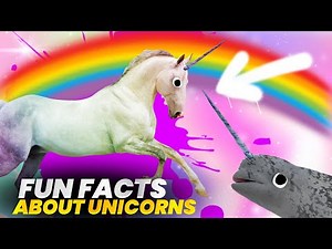 20 Fun Facts About Unicorns