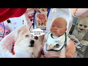 MY DOG DECIDES THE MORNING ROUTINE OF MY REBORN BABY NOAH. DOES HE CHOOSE WHAT HE EATS, WHAT HE W...