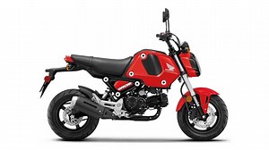 Honda Launches Updated Versions Of The Grom, Ruckus, And CRF Dual-Sports.