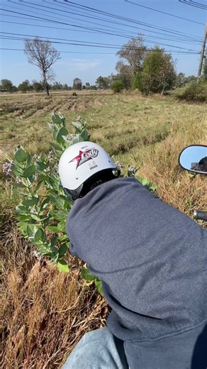 เกือบดีแต่เลือกผิดดอก: ทำไมถึงเป็นอย่างนั้น?