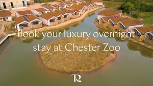 NEW for 2025 | Luxury short breaks at Chester Zoo, where giraffes and other wildlife wander past your window 🦒 Stay at The Reserve and enjoy exclusive animal experiences, talks from our conservation experts, and out-of-hours zoo access. All while knowing you’re directly supporting Chester Zoo’s conservation work out in Africa, helping nature not just survive, but thrive. | Chester Zoo