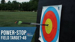 6.9K views · 389 reactions | Check out the perfect backyard target...