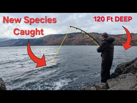 Deepwater Lure Fishing Scotland: Surprise Species Caught