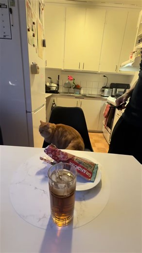 떠그 개인용 의자 탄생 . . . . #sweden #fyp #스웨덴오빠 #swedenbf #reels