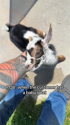 On Target Pest Control on TikTok