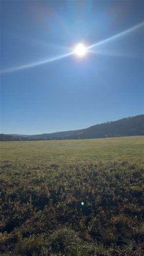 Fall highlights from around the park.. #pastateparks #pahiking #discovernepa #visitsusqco | Friends of Salt Springs Park