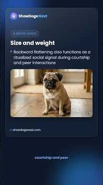 What Does It Mean When a Dog’s Ears Are Back? (Body Language Guide)