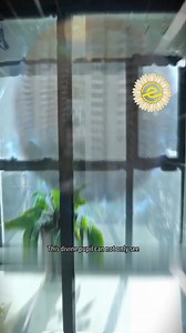 8K views · 149 reactions | Unexpected Hero: Ordinary Security Guard's Journey to the Divine | Daily Inside | Facebook