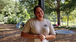 5.2K views · 90 reactions | We have several small dogs available for adoption right now! Check out who is here and their personalities below. We're located at 6035 Sisson Road in Titusville. | SPCA of Brevard Adoption Center | Facebook