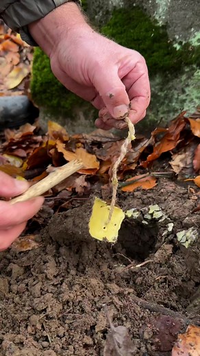 Survival Skills Amazing fire in the Wilderness. #survival #skills #camping #lifehacks #outdoors #bushcraft #fire #ideas | Sergio Outdoors