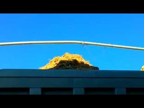 Pallet Recycling Process Video