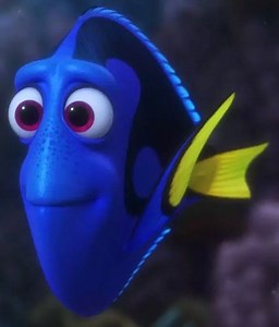What is wrong with Dory in Finding Nemo? [2025] | QAQooking.wiki