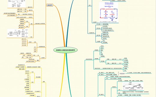 专题九免疫调节部分思维导图