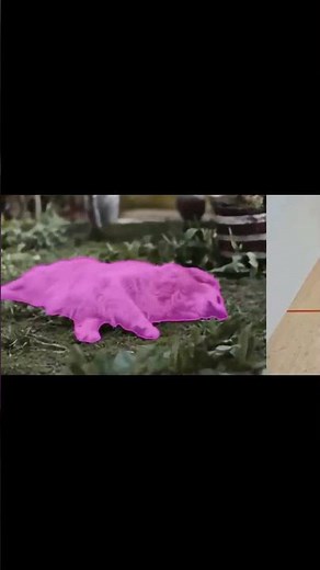 DINO-X: The Future of Open-World Object Detection & Understanding