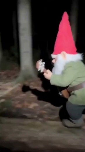 Gnome Banjo Chase in the Forest! 🪕🎅 #Shorts
