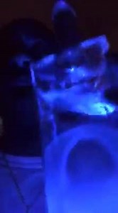 We still going on up! | Bow Wow