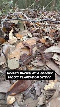 Amazing finds around a 1700s plantation!! #metaldetecting #history #explorepage #foryou #fyp