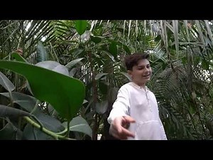 MARIO EDUARD - MI CORAZONCITO - Cover - Aventura