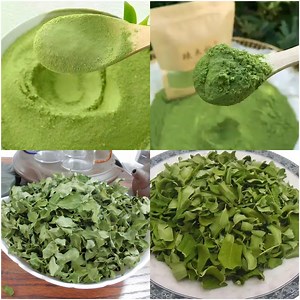 [Hot Item] Moringa Fine Powder Crushing Machine Moringa Leave Micro Powder Grinding Machine