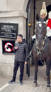 Royal Life Guards Response towards Cheeky Visitors!👇📸 #horseguardsparade #thekingslifeguard #householdcavalrymountedregiment #fbreels #fyp #instagram | Mihail Gavril Pop