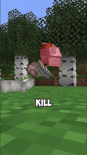 what if minecraft had ferrets?