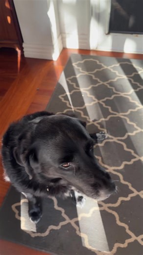 Why TikTok Is Here to Stay for Me